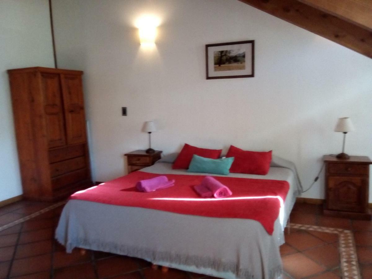 Departamento En Apart Pequena Comarca Lejlighed San Martín de los Andes Eksteriør billede